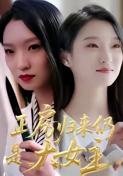 正房归来仍是大女主海报